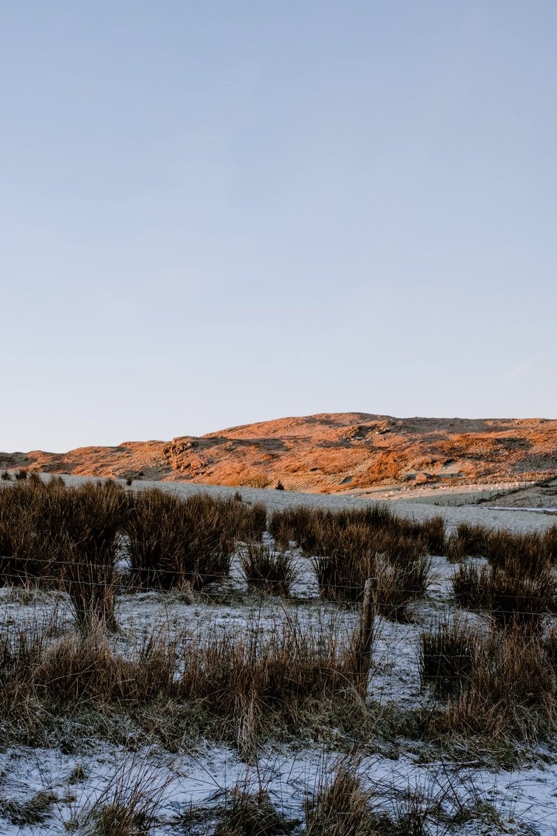 andreoloa's tweet image. This set me in a good mood this morning