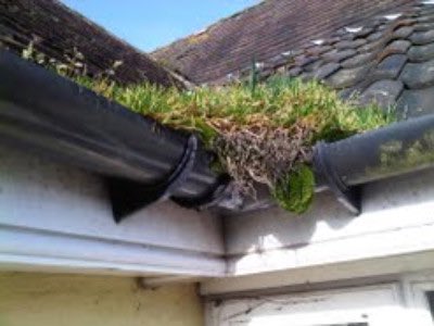 no1windowclean's tweet photo. ⚠️ please take a look at yours ⚠️
🪴When you look up at your gutters do you have stuff growing from them? 🪴

If you do this can cause damp in your house &amp; damage to your gutters. https://t.co/TAY8NqQAnB