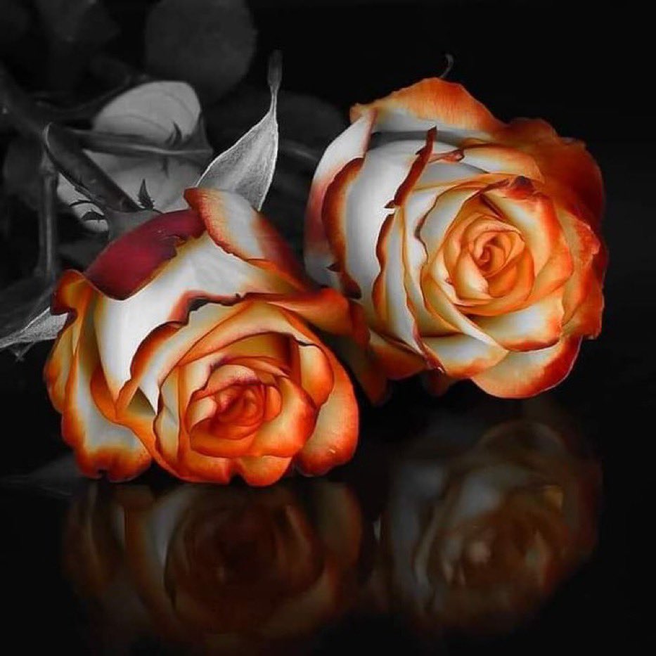 خالد العزاوي (@k07901271247) on Twitter photo <a href="/pamelllar/">🌹Pamela🌹</a> <a href="/lana_liss/">Лана Лисс</a> <a href="/dykrh271/">235</a> <a href="/ViviHua71296541/">Vivi Huang</a> <a href="/AracelisTorre19/">Aracelis Torres</a> <a href="/kathyan72/">Hannah</a> <a href="/maype7/">✿⊱ Mayuli Peña R ✿⊱</a> <a href="/EliLeonarda/">👄☀ Ệŀïẓäńġệŀä 🌷🌿</a> <a href="/Lorebl034/">Lorebl03</a> <a href="/komaritski/">Slinkin SV</a> <a href="/sahouraty1/">Sahar Taher</a> <a href="/Marcsi51/">Simon Józsefné Marcsi</a> <a href="/ReRioPop/">Re 🇧🇷🇸🇾KayBrilhante Habib اتبع قلبك وعيش أحلا</a> <a href="/vikasknirmal/">VIKAS NIRMAL</a> <a href="/veronikasmolkov/">veronika smolkova</a> <a href="/MartinJanda14/">Martin030963</a> <a href="/jewelsfrazier68/">Julie</a> <a href="/MvVeas/">Mary Veas</a> <a href="/keikalin020460/">keika♒️🤗💓😸</a> <a href="/_Natallika/">Natalli</a> @Chikhhammana2 <a href="/LO2BSH/">LO2BSH</a> @alinarazumowa <a href="/polovinkamoya/">Валентина</a> <a href="/suz78/">✨7877✨</a> <a href="/man14_14/">قلبك دليلك 💔</a> <a href="/AlinaLisss/">Alina-Liss</a> <a href="/leggioluciano/">Tognoli Luciano. Thank you</a> <a href="/Marianscon/">Marian</a> <a href="/hr130130/">hossain rezaei</a> <a href="/nature_pik/">NATURE IS BEAUTIFUL</a> <a href="/B4Sue/">🕉💟 Love. 💟☮</a> <a href="/huskorkut/">huskorkut</a> <a href="/franckcolas77/">Franck Colas</a> <a href="/AvivaTink/">AvivaTink (sofa-miaaw)Love is Stronger than hate💕</a> <a href="/PhotoTimeGeo/">Photo Geo 🌎</a> <a href="/white_wizzard/">JAG</a> <a href="/habtop_ru/">Habtop</a> <a href="/RolfzenClare/">Clare Rolfzen</a> <a href="/roseflourish_13/">Rose 🌹: Maryam.</a> <a href="/pamelllar/">🌹Pamela🌹</a> <a href="/lana_liss/">Лана Лисс</a> <a href="/dykrh271/">235</a> <a href="/ViviHua71296541/">Vivi Huang</a> <a href="/AracelisTorre19/">Aracelis Torres</a> <a href="/kathyan72/">Hannah</a> <a href="/maype7/">✿⊱ Mayuli Peña R ✿⊱</a> <a href="/EliLeonarda/">👄☀ Ệŀïẓäńġệŀä 🌷🌿</a> <a href="/Lorebl034/">Lorebl03</a> <a href="/komaritski/">Slinkin SV</a> <a href="/sahouraty1/">Sahar Taher</a> <a href="/Marcsi51/">Simon Józsefné Marcsi</a> <a href="/ReRioPop/">Re 🇧🇷🇸🇾KayBrilhante Habib اتبع قلبك وعيش أحلا</a> <a href="/vikasknirmal/">VIKAS NIRMAL</a> <a href="/veronikasmolkov/">veronika smolkova</a> <a href="/MartinJanda14/">Martin030963</a> <a href="/jewelsfrazier68/">Julie</a> <a href="/MvVeas/">Mary Veas</a> <a href="/keikalin020460/">keika♒️🤗💓😸</a> <a href="/_Natallika/">Natalli</a> @Chikhhammana2 <a href="/LO2BSH/">LO2BSH</a> @alinarazumowa <a href="/polovinkamoya/">Валентина</a> <a href="/suz78/">✨7877✨</a> <a href="/man14_14/">قلبك دليلك 💔</a> <a href="/AlinaLisss/">Alina-Liss</a> <a href="/leggioluciano/">Tognoli Luciano. Thank you</a> <a href="/Marianscon/">Marian</a> <a href="/hr130130/">hossain rezaei</a> <a href="/nature_pik/">NATURE IS BEAUTIFUL</a> <a href="/B4Sue/">🕉💟 Love. 💟☮</a> <a href="/huskorkut/">huskorkut</a> <a href="/franckcolas77/">Franck Colas</a> <a href="/AvivaTink/">AvivaTink (sofa-miaaw)Love is Stronger than hate💕</a> <a href="/PhotoTimeGeo/">Photo Geo 🌎</a> <a href="/white_wizzard/">JAG</a> <a href="/habtop_ru/">Habtop</a> <a href="/RolfzenClare/">Clare Rolfzen</a> <a href="/roseflourish_13/">Rose 🌹: Maryam.</a>