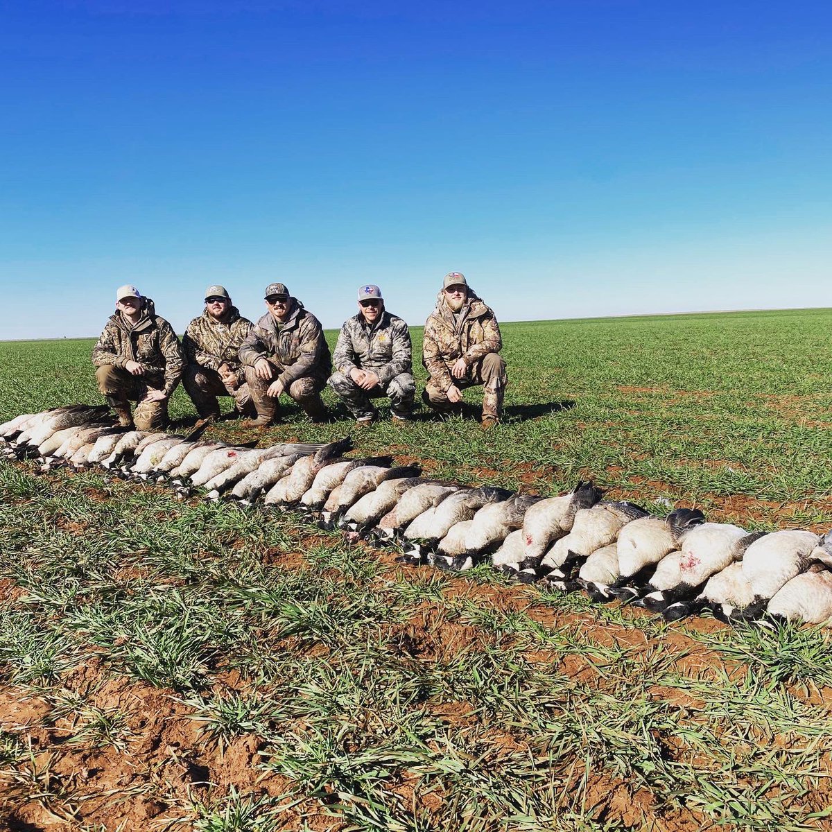 ShawBryson's tweet photo. Texas boys do it better https://t.co/rqmJX8pkYr