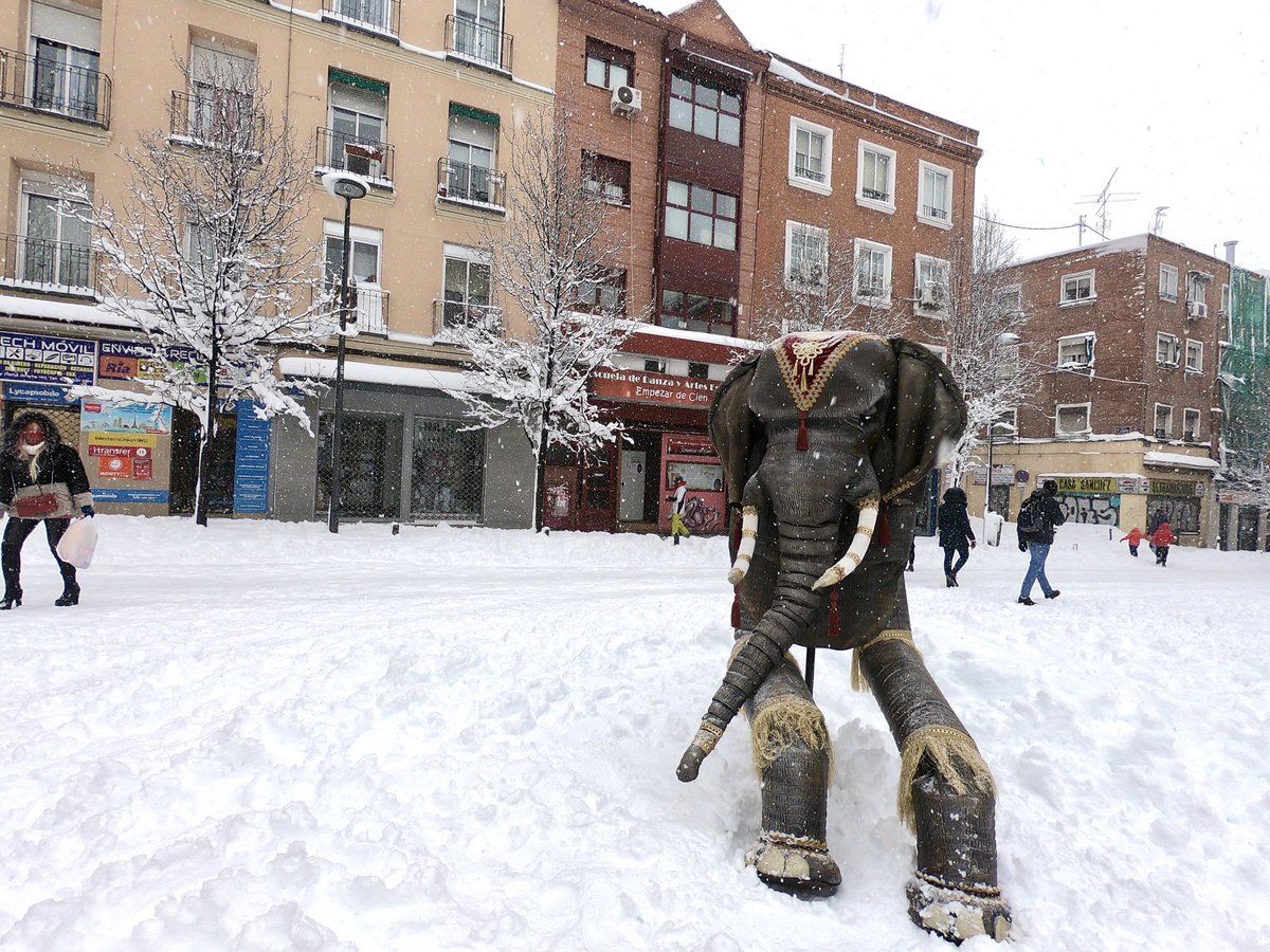 EmpezardeCien's tweet photo. #vallecas Nuestro Elefante nunca olvidará su primer día en la nieve. 
🐘❄️💯 https://t.co/ZAFxwmx1MA