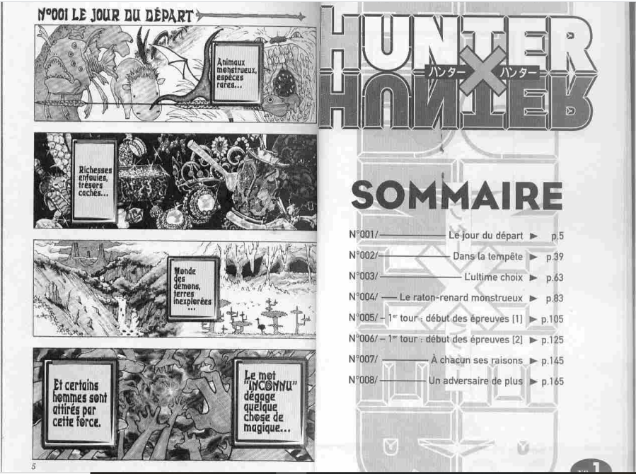 finalement comme dis dans le synopsis du manga :L'inconnu à quelque chose de mystérieux, et ce mystère attire des gens exceptionnels, ces gens sont nommés : les Hunters !