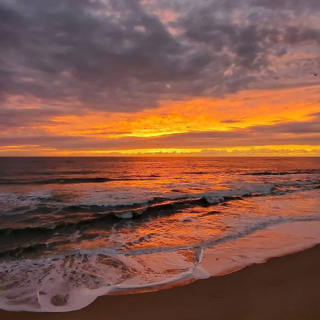 OuterBeaches's tweet photo. β’ @conni__leigh Nature is a painter π¨.
.
.
.
.
.
.
.
.
#questover #saltlife #obx #hatterasisland #buxtonnc #lifeonasandbar #theouterbanks #beachlife #obxlife #cellphonephotos
#sky #clouds #outerbanks #cloudsscape #sometimesjustthesky #sunrise #hat⦠https://t.co/q3D5Db19u4 https://t.co/eJSg9Efe0W
