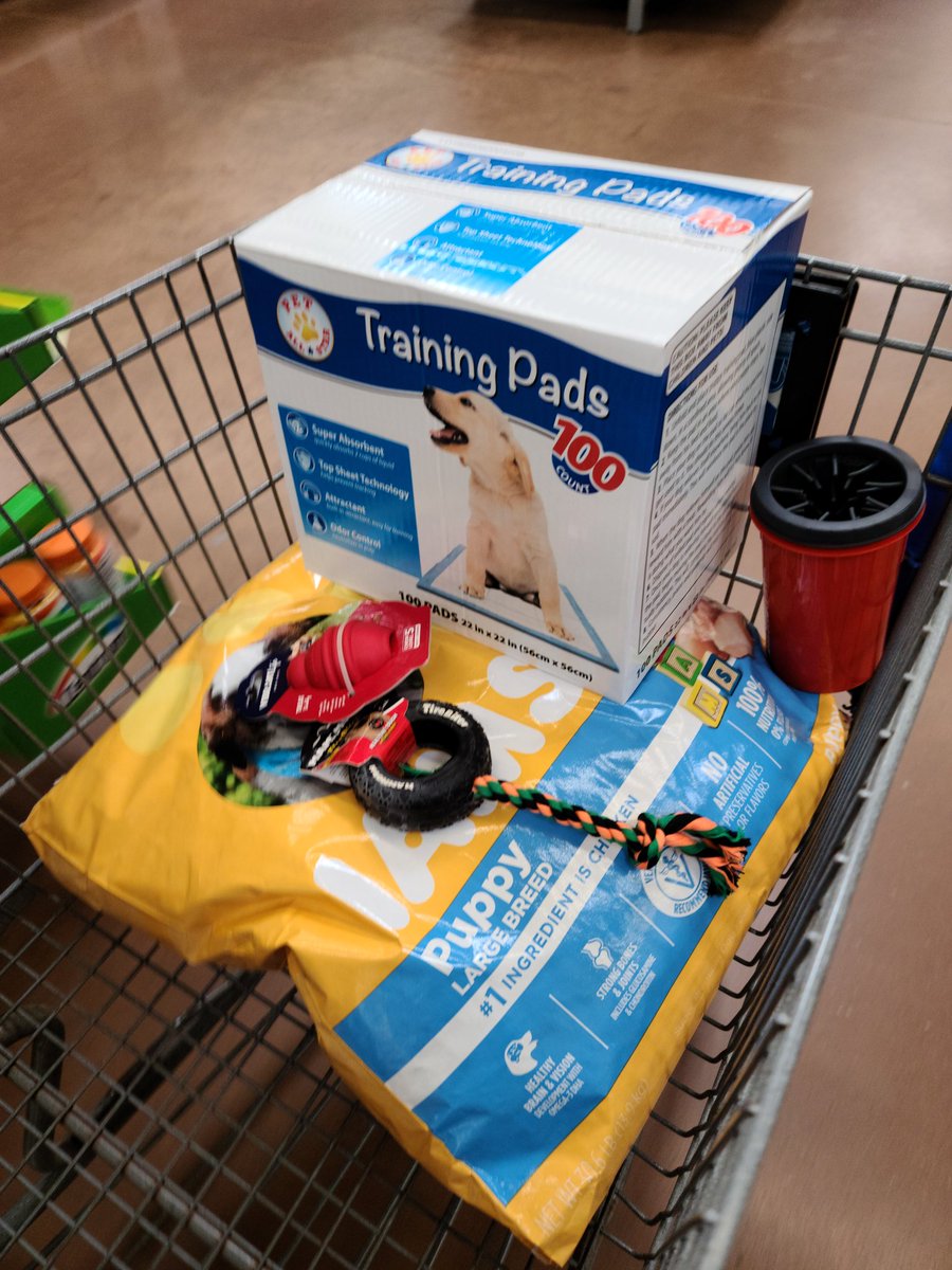Sam_Jack92's tweet photo. It's getting more real! 😭😭 Buying my first chunk of puppy stuff!! Only a few more weeks! Thank you to everyone that has helped so far!
https://t.co/XCLg7c6wOa
 #servicedogintraining #mentalhealthmatters #ptsd #servicedogprospect #fundraiser #Donations https://t.co/li8F3GAGz7