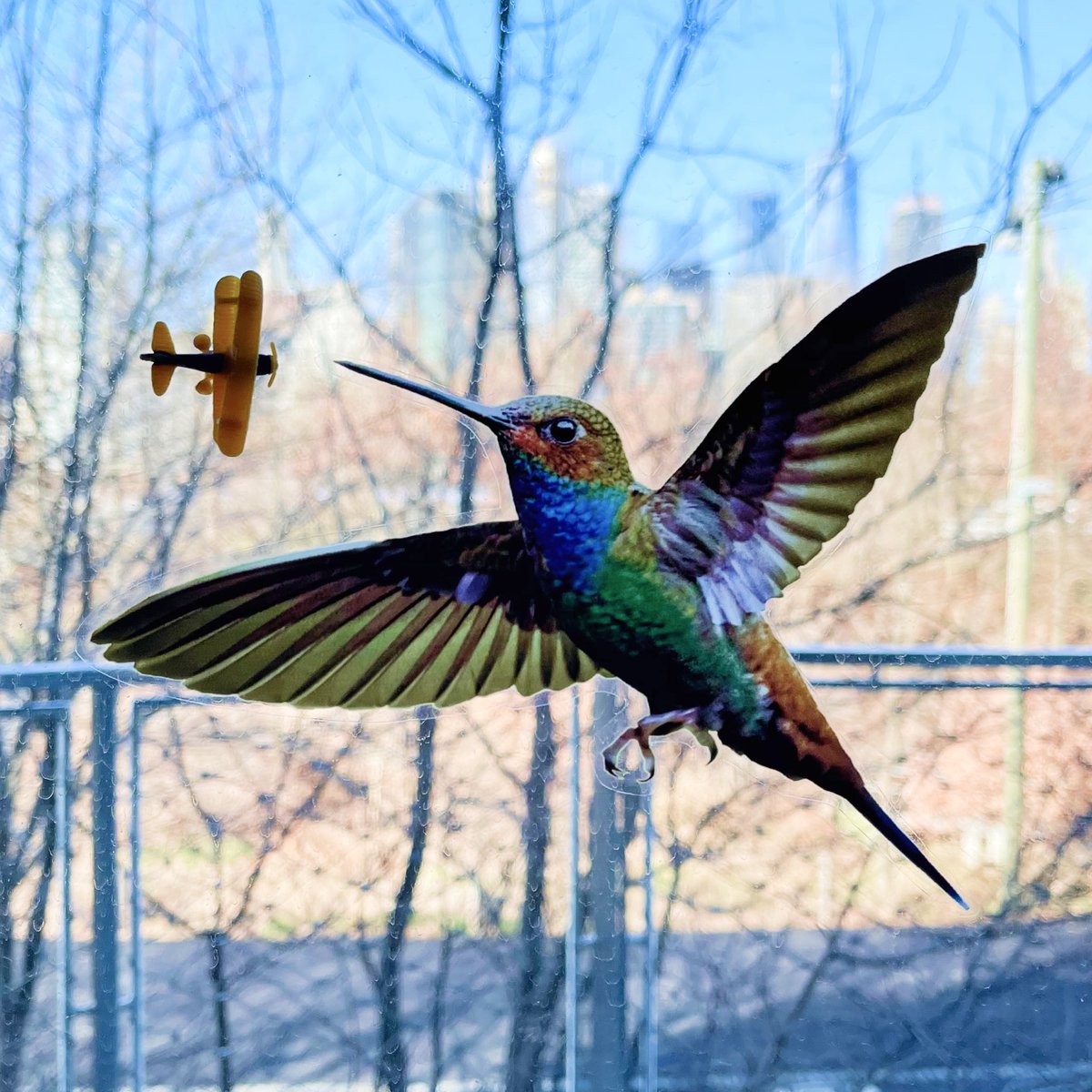 ApplyStickers's tweet photo. One dot of our favorite from @gluedots transforms anything small &amp; reasonably light, into a sticky object. Try making a toy plane dance with a majestic Hummingbird. For more creative conversation, join our community on IG: https://t.co/JwbG8mLCXm https://t.co/XGo1PXzu6H