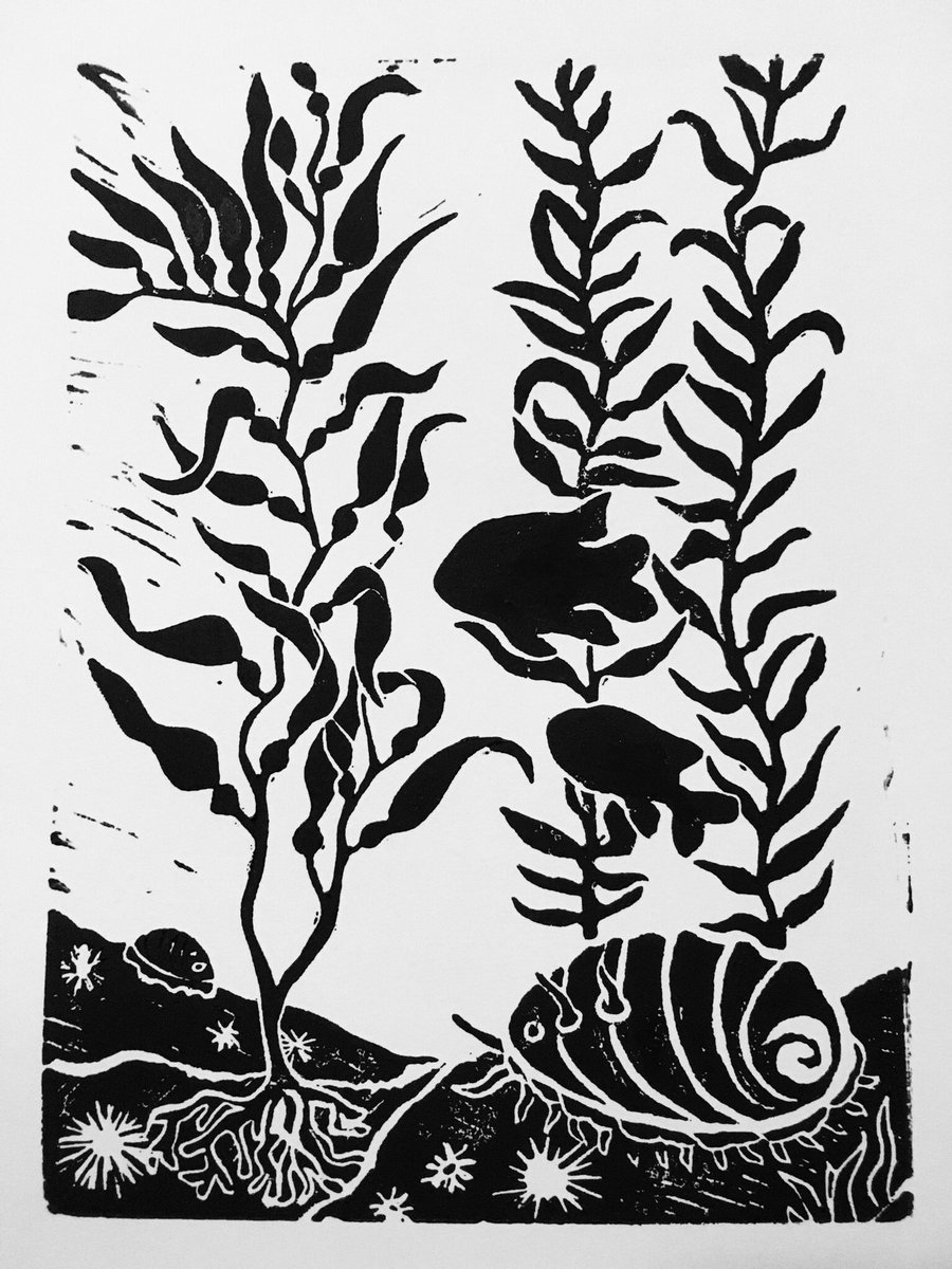 New #KelpForest print, featuring a #Macrocystis kelp forest with abalone, sea urchins & Garibaldi fish! 💦 #printmaking