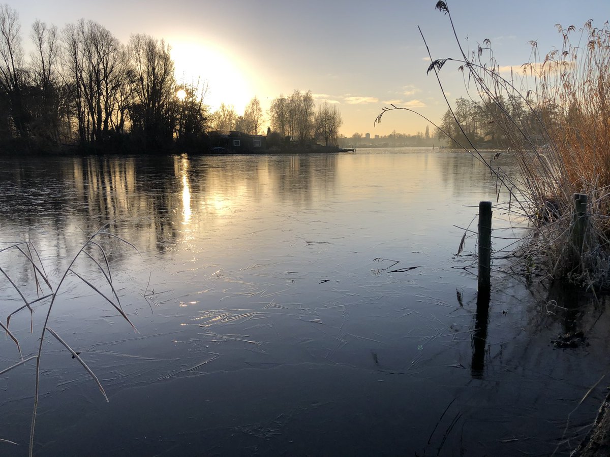 Vandaag eerste ijs op Bergsche plas zo mooi. Hopelijk als lichtpuntje schaatsen op natuurijs deze winter? #Rotterdam