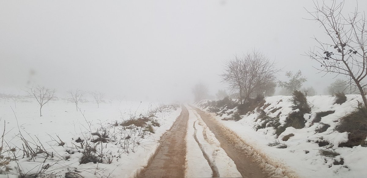 BaMig_'s tweet photo. #nieve en el valle de la #sierradelavia en #bullas #regiondemurcia 
@TiempoBullas @tiempomurcia https://t.co/6y0xmvlBQu