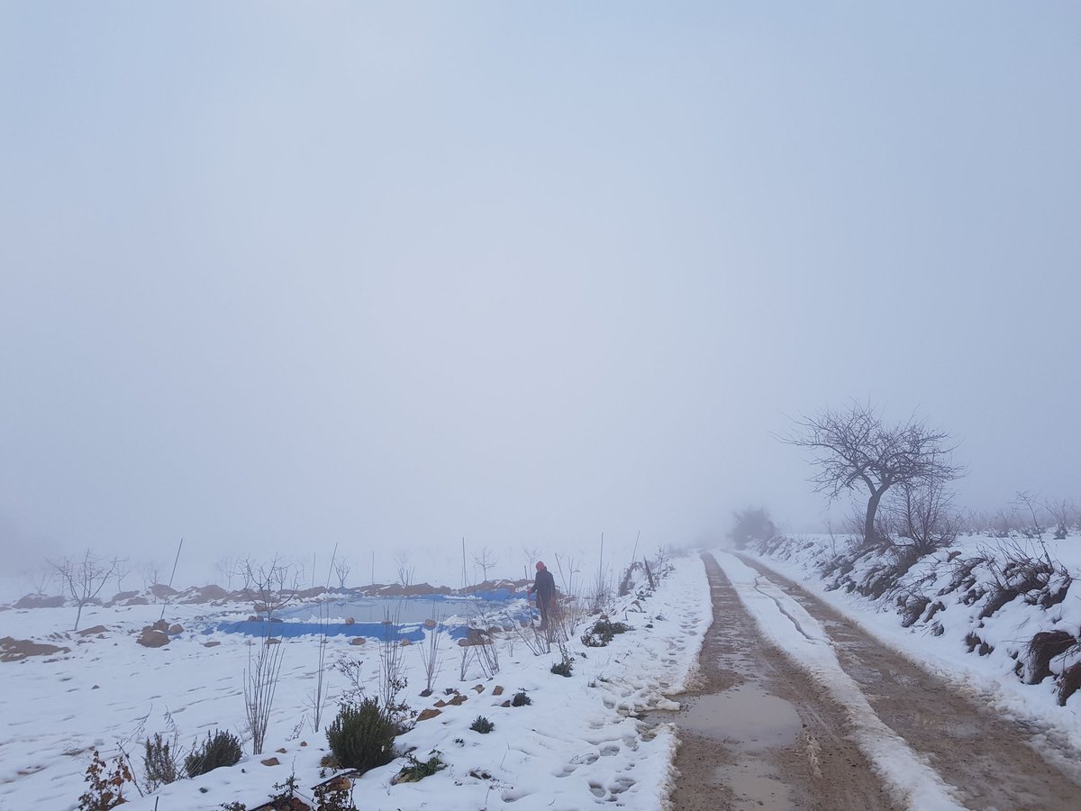BaMig_'s tweet photo. #nieve en el valle de la #sierradelavia en #bullas #regiondemurcia 
@TiempoBullas @tiempomurcia https://t.co/6y0xmvlBQu