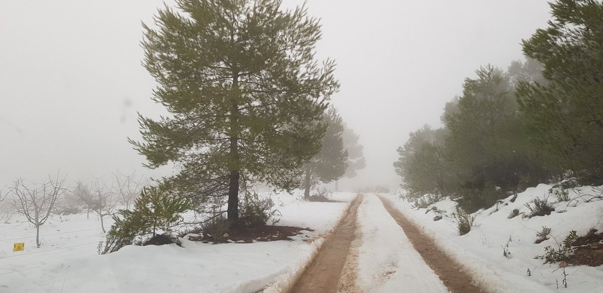 BaMig_'s tweet photo. #nieve en el valle de la #sierradelavia en #bullas #regiondemurcia 
@TiempoBullas @tiempomurcia https://t.co/6y0xmvlBQu