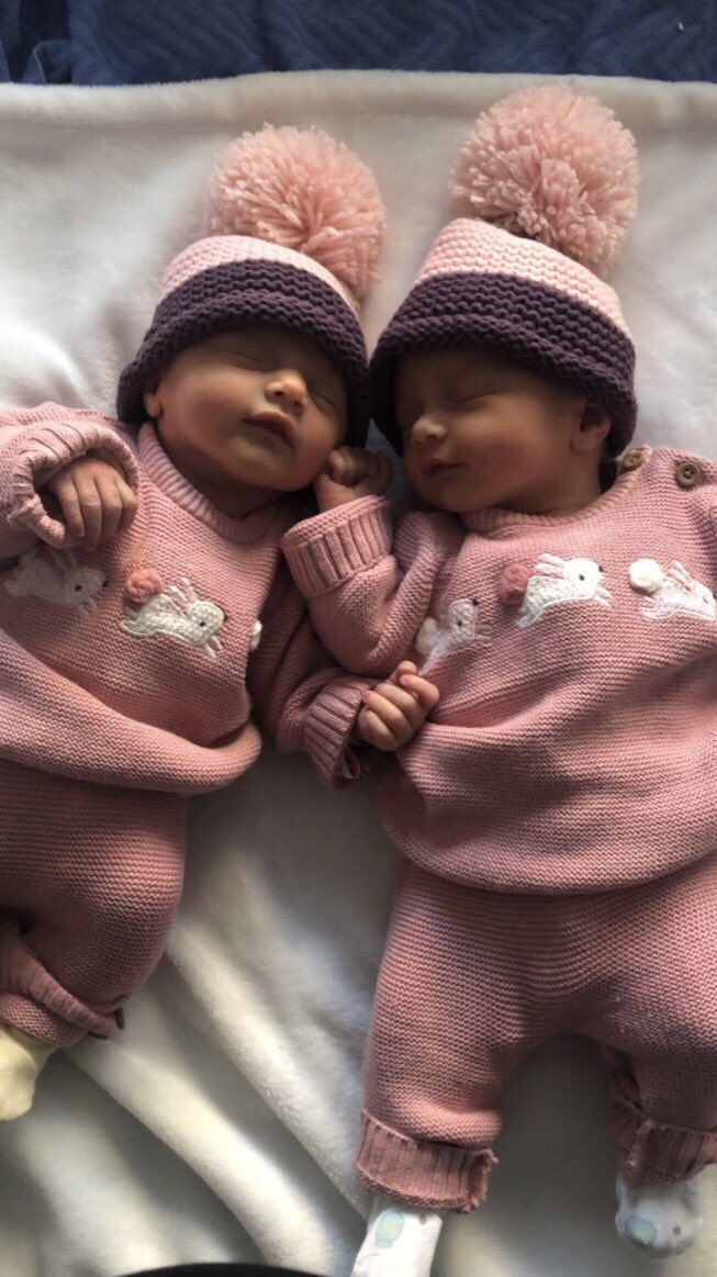 The Curly Stu tweet media