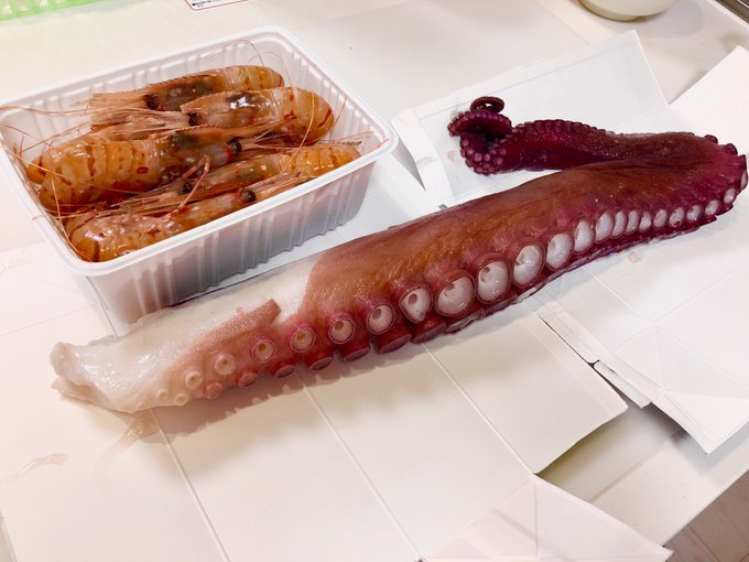 読者さまから大きな触手をいただきました( ' ▽ ` ) 