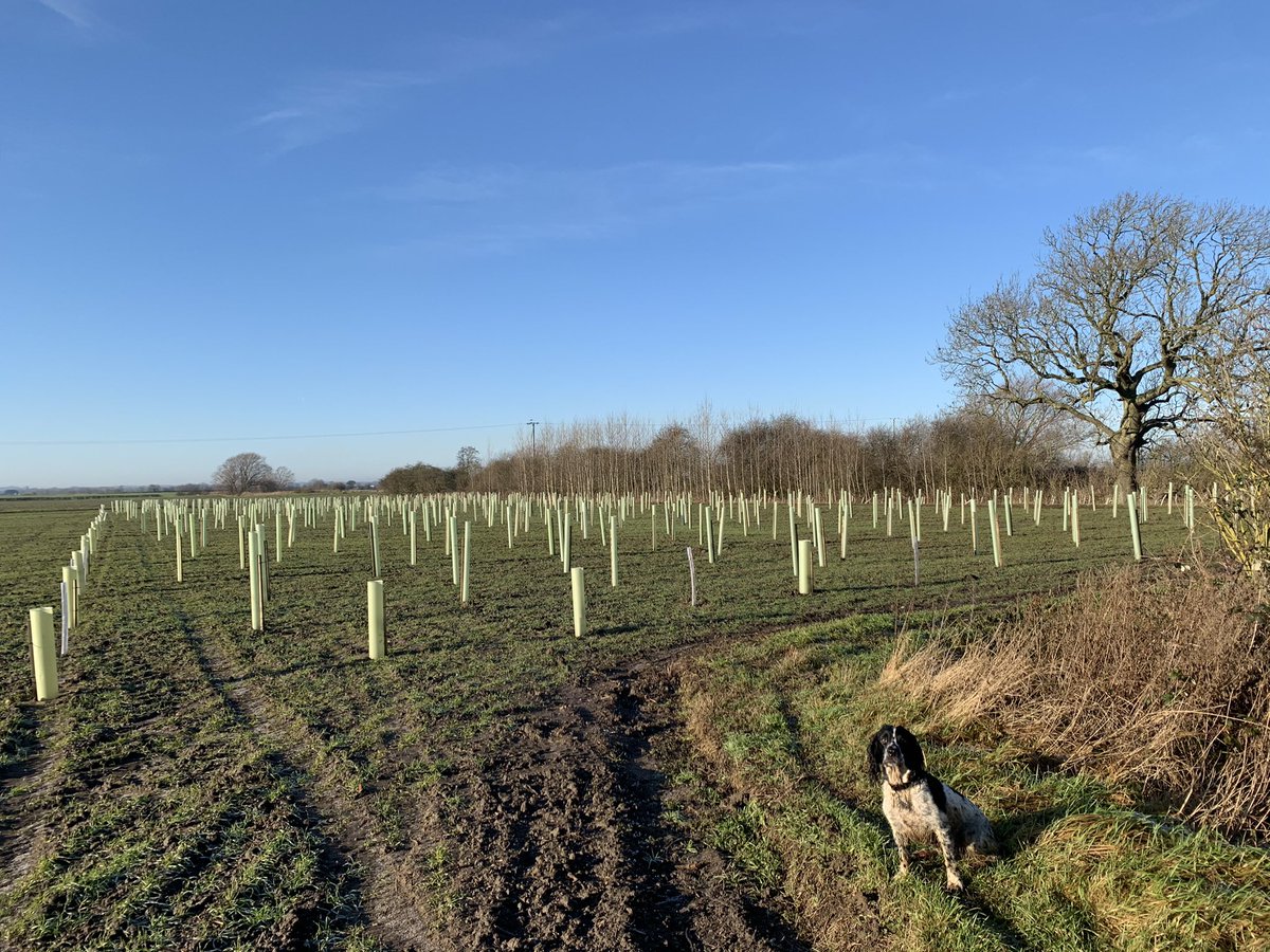 Olly Fussey tweet media