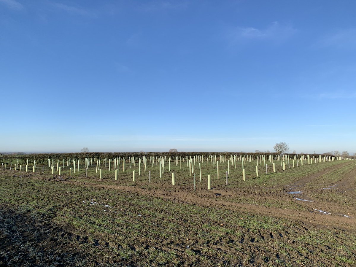 Olly Fussey tweet media