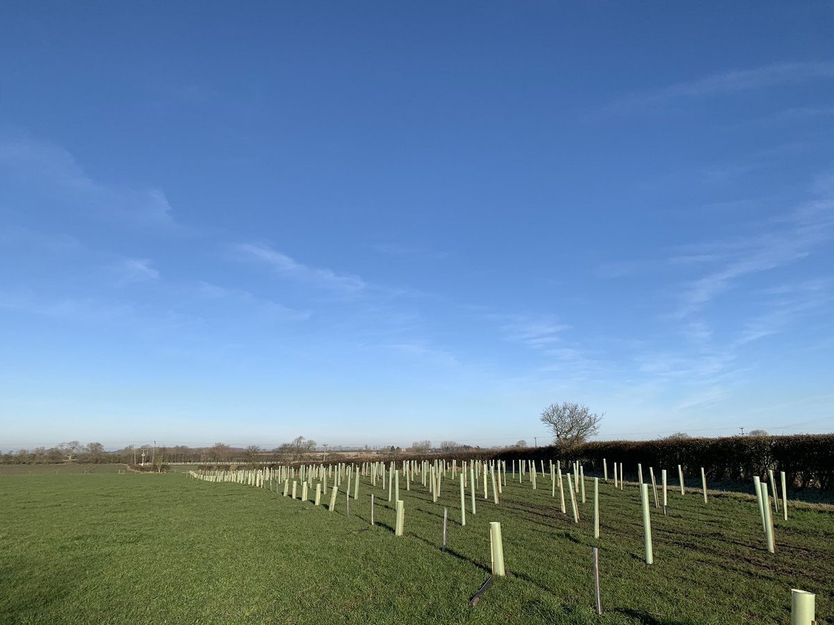 Olly Fussey tweet media