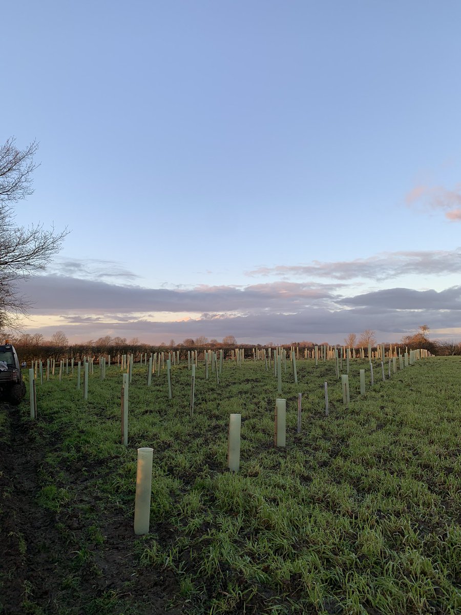 Olly Fussey tweet media