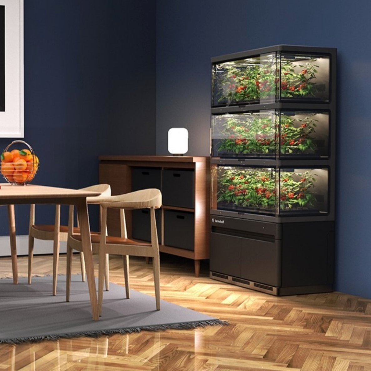 FoodJunkieCulture (@foodjunkiecult) on Twitter photo Indoor farming…<a href="/farmshelf/">farmshelf 🥬</a>, we need to get some of these to the bodegas and areas hardest hit with food insecurity. (photos: <a href="/farmshelf/">farmshelf 🥬</a>)
#farming #indoorfarming #freshproduce #vegetables #sustainability #foodinsecurity #fooddeserts Indoor farming…<a href="/farmshelf/">farmshelf 🥬</a>, we need to get some of these to the bodegas and areas hardest hit with food insecurity. (photos: <a href="/farmshelf/">farmshelf 🥬</a>)
#farming #indoorfarming #freshproduce #vegetables #sustainability #foodinsecurity #fooddeserts