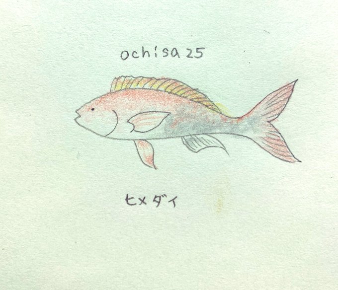 お魚 高画質 のtwitterイラスト検索結果 古い順