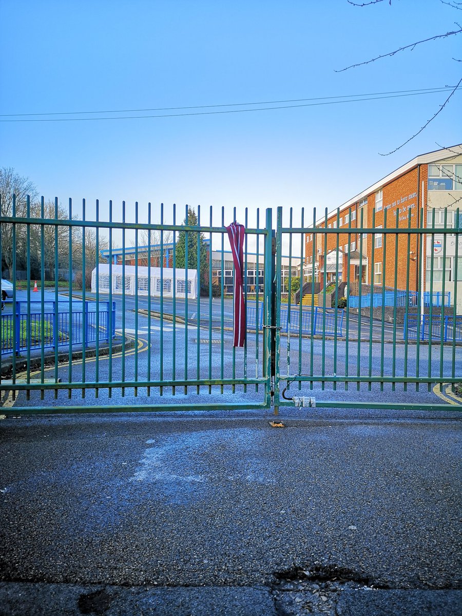 Dom Cotter tweet media