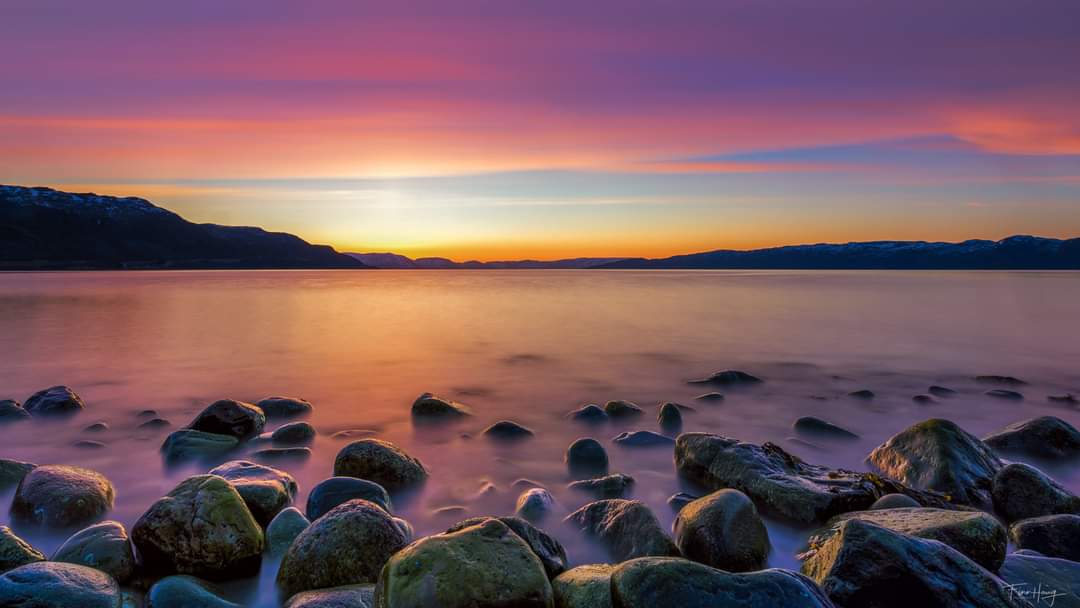 elusive_moose's tweet photo. Arctic #sunset 😍 Photo Finn Haug #Norway #Finnmark @Northern_Norway 🌅 https://t.co/wk5ffUBZHh