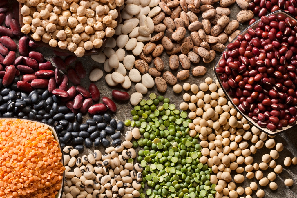 DocuSol's tweet photo. 💚 Love your Legumes 💚 Lentils and peas are related to beans and share their dietary profile: high in fiber and protein and low in fat. Cooked chickpeas can be added whole to salads or blended to make hummus—either way, it’s good fiber! https://t.co/N2dVCsbOEn