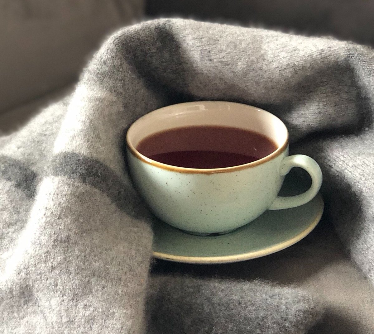 Settle in with your Saturday morning essentials. ☕️ #drinktea #charlestonteagarden