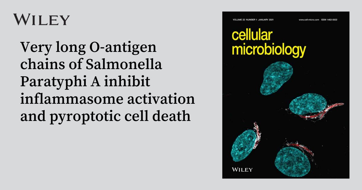WileyLifeSci's tweet photo. Check out the new research by @ellimylona01 & team on Salmonella Paratyphi, one of the leading causes of #EntericFever that is now on the rise in Asia.
Published Early View in @CellMicrobiol and #FreetoAccess here: https://t.co/b1GaLOn4Uv
@TheFrankelLab https://t.co/ZeQzDl9a2R