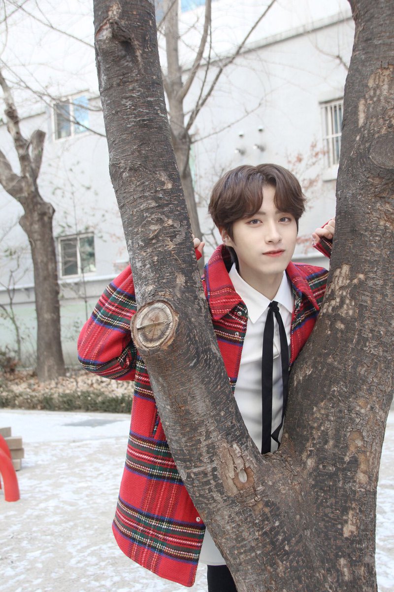 xionarchives's tweet photo. the most perfect boy, thank you for giving us countless reasons to smile ❤️

@official_ONEUS
#투문의_자랑_손시온_생일축하해
#PRINCE_XION_DAY https://t.co/Db1npqu5ju