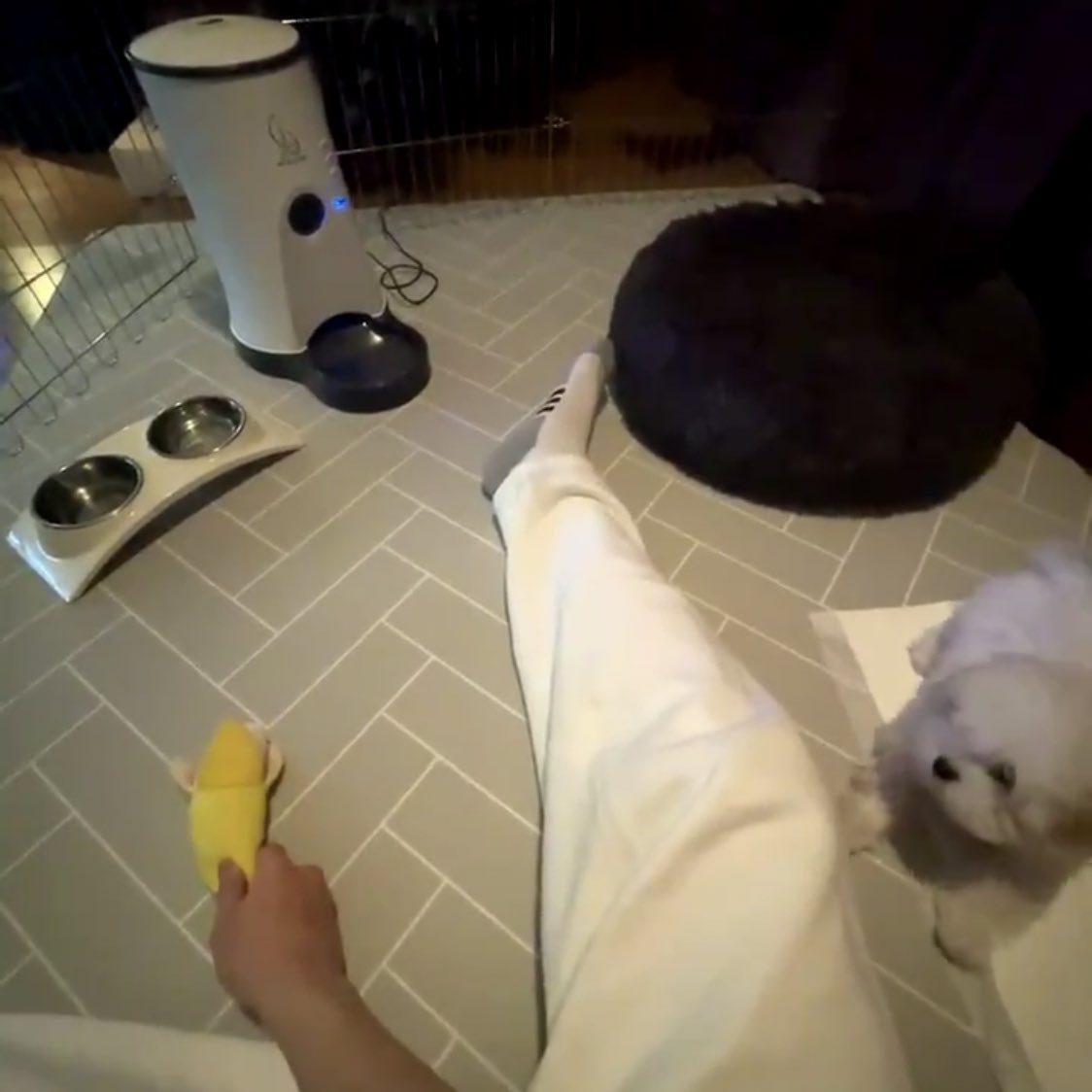 tiny_daegal's tweet photo. daegal is having fun with uncle mark~!! 💖

#대갈 #daegal @tiny_daegal https://t.co/N5F6O08Yac