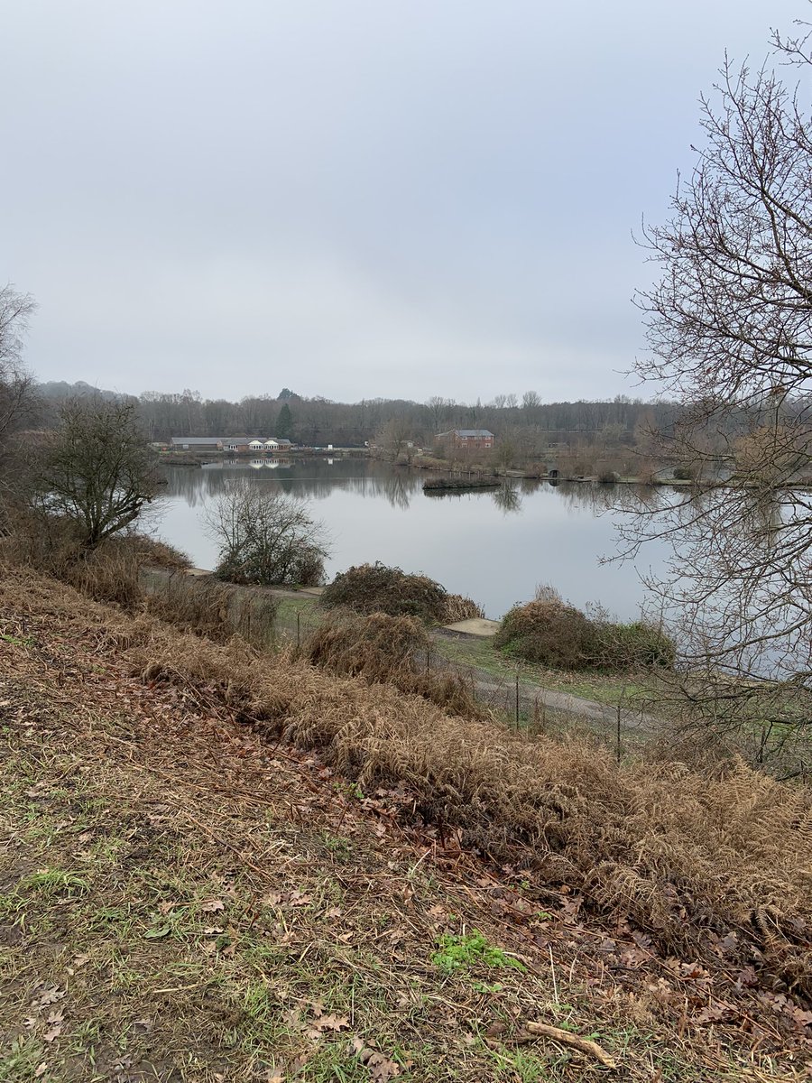 Sarah Spall tweet media