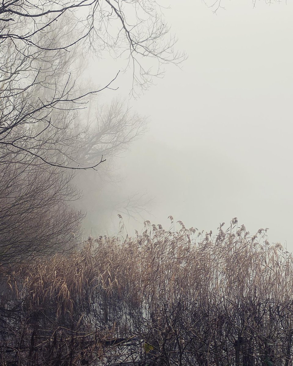 Frozen fog, smudgy landscapes and fairy doors. #7miler #riverwalks #coldaf