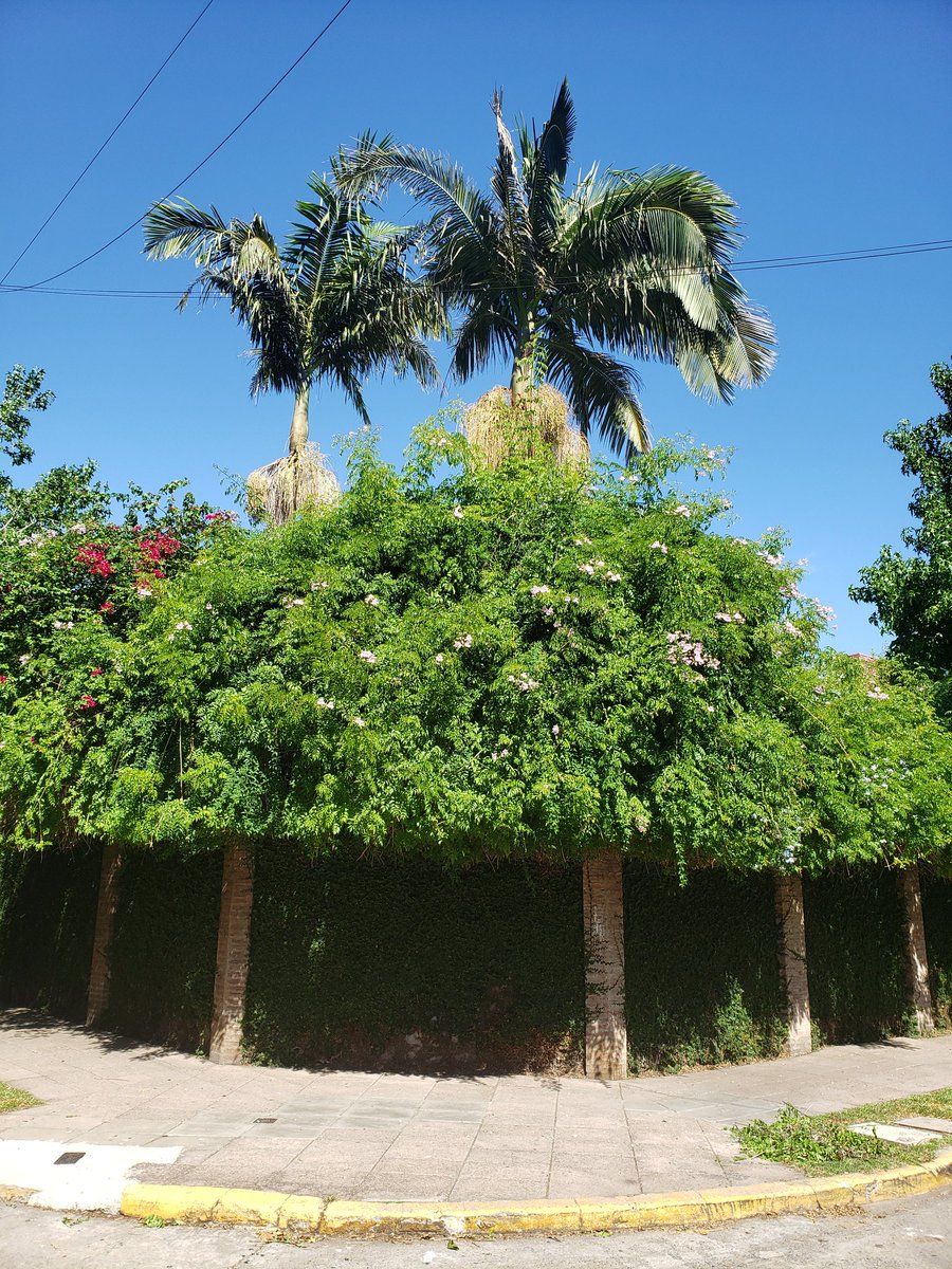 Esquina de barrio en <a href="/VicenteLopezVL/">Barrio de Vicente López</a> .