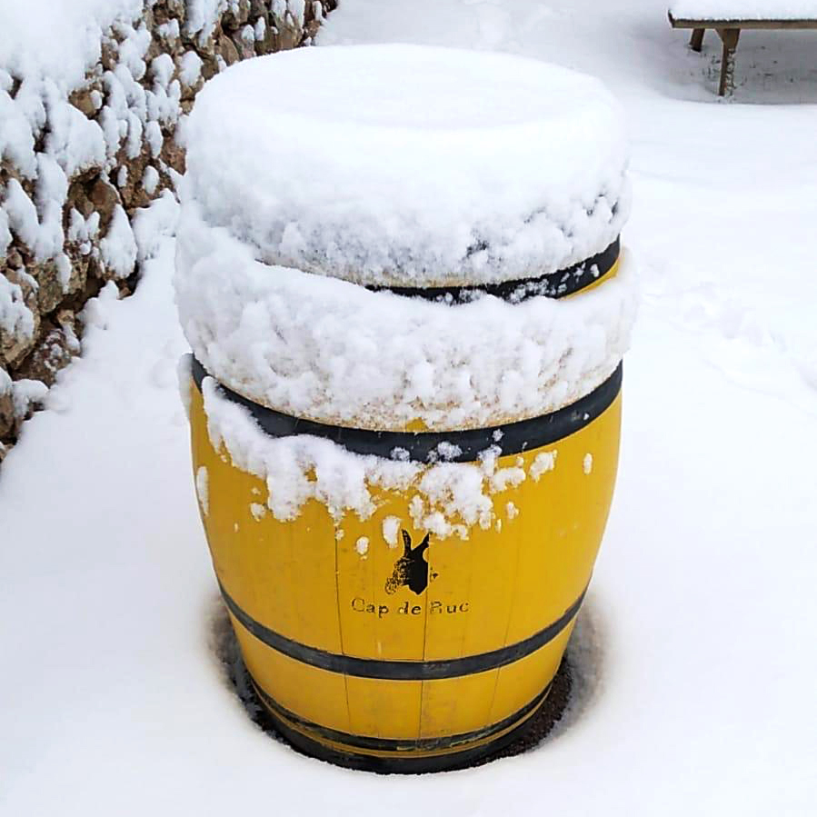 Ronadelles's tweet photo. ⛷❄ El nostre celler avui, una estampa hivernal que convidava a practicar esports de neu. Avui us dediquem el brindis…sobre raquetes de neu!
#CellerRonadelles | #CornudelladeMontsant | #CapdeRuc https://t.co/KkWzYCF3Bc