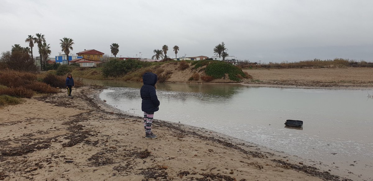 ridetheworm's tweet photo. Hola @ayto_alboraya. En mi opinión debería ser prioritario impedir que se vierta al mar sistemáticamente este agua tan contaminada, máxime en zona protegida.
En los 3 años que llevo viviendo aquí no he visto progresos.
Se está trabajando en ello? https://t.co/NpNmpTrB60