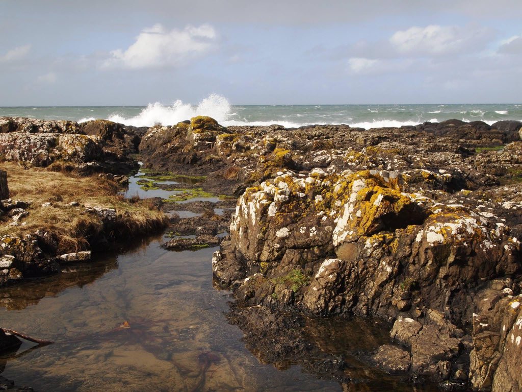 The next day we caught a train up to Coleraine and then a bus to the Giant's Causeway. The Causeway was a magical place, unlike anywhere we had ever been before and we loved exploring the basalt columns and windy cliff tops.