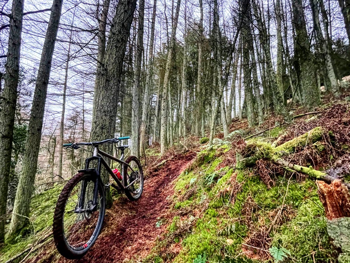 2wheeledwanders's tweet photo. Head and heart weren’t really in it today, but I figured an hour of something is better than not.
#mountainbike
#mountainbiking
#scotland
#northayrshire
#staylocal
#loamlife
#localtrails
#supportyourlocaltrailbuilder
#genesisbikesuk
#dtswiss
#vittoriatires https://t.co/8PHsgPwgaa