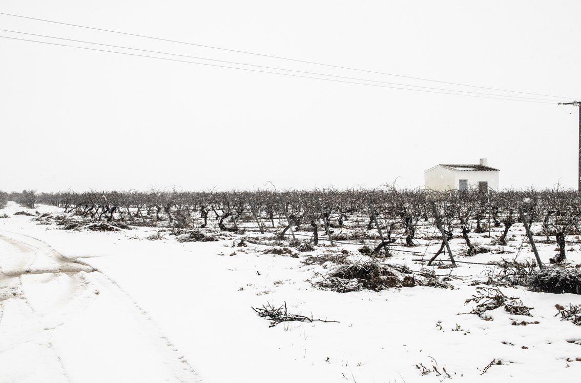 ValenKas_Art's tweet photo. Me apetece dejar estas fotos por aquí, porque aunque no sea Madrid, Tomelloso también está precioso con nieve🥰
#BorrascaFilomena #Filomena #FilomenaL6 #QuedateEnCasa #fotografia #NieveEnCLM #Filomenaamipesar #fotografia #Snowing https://t.co/b5KxujWc7A