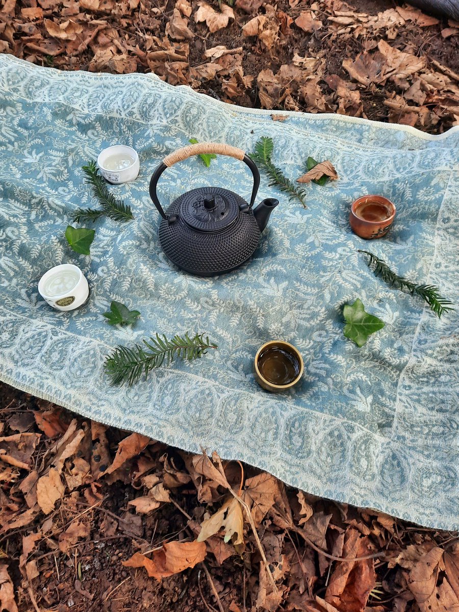 diana_eyp's tweet photo. First Forest Bathing session of 2021. Taking time to slow down,engaging the senses and noticing nature all around. Feeling blissful ❤🌲 #forestbathing #forestbathingguide #naturetherapy#shinrinyoku https://t.co/HIhE8W19A4