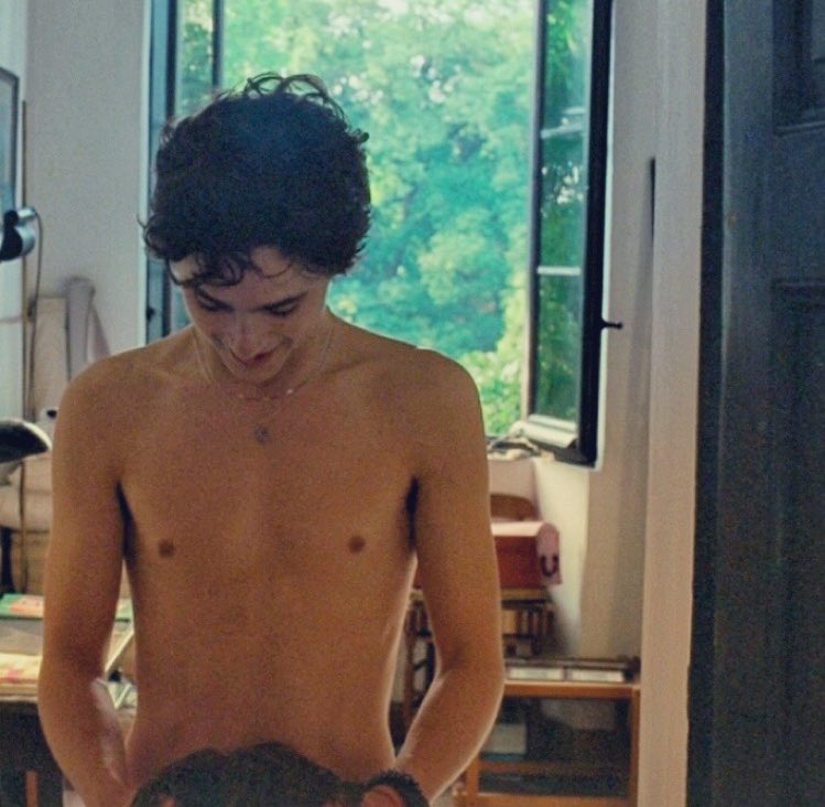 musetta - timothée chalamet daily.