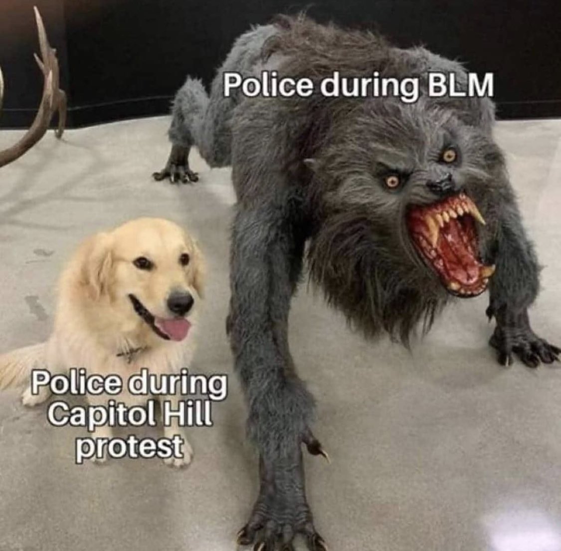 Pathetic. 
#capitol #washingtondc #washingtondc #usa #dc #capitol #uscapitol  #washington #capitolhill #justiceforjacobblake #jacobblake #PoliceBrutality #justiceforbreonnataylor #racism #justiceforbreonna #capitolhill #washingtondc #blacklivesmatter