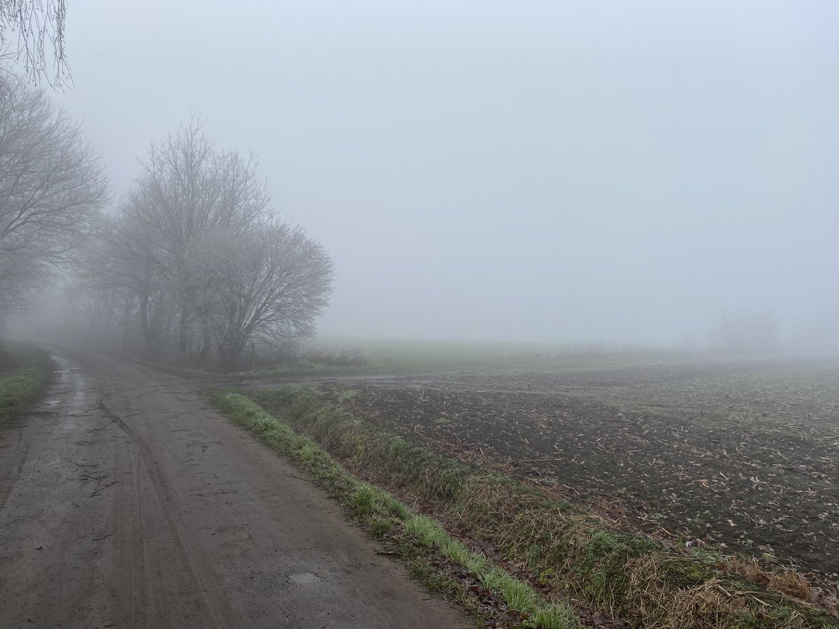 #vrtweer 16:00 Brandstee Westerlo