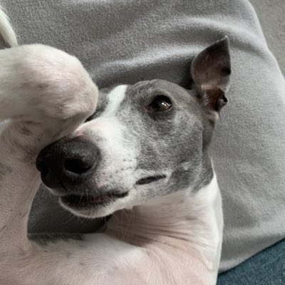 #NewProfilePic