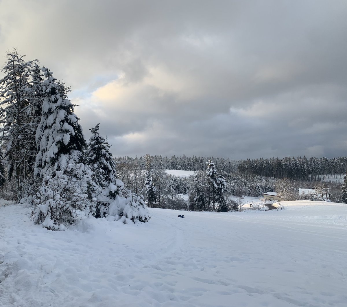 leyoufrn's tweet photo. Notre belle Vosges dans toute sa splendeur https://t.co/pRQzxg9wYS