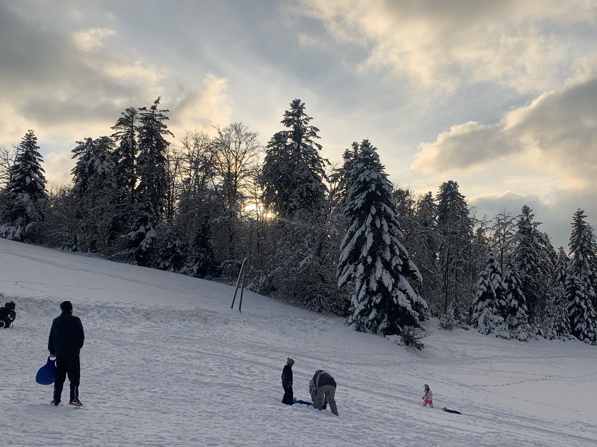 leyoufrn's tweet photo. Notre belle Vosges dans toute sa splendeur https://t.co/pRQzxg9wYS