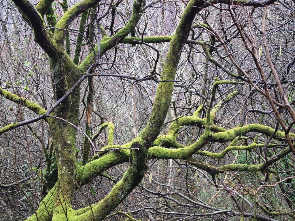 Calvin got his first taste of Snowdonia and it was love at first sight (his jeans didn't love the mud at the bottom of that big rock quite so much).