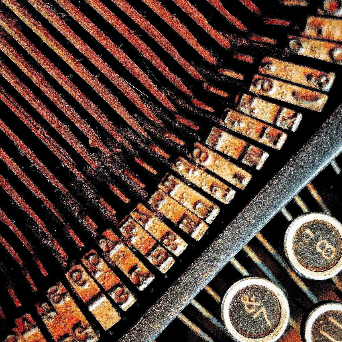 AppleHungryFool's tweet photo. 9/365: “Close Up” 
I love the detail, texture, and story that is revealed by looking at our world through a close lens.
“The trick to forgetting the big picture is to look at everything close-up.” ~Chuck Palahnuik
#fms_closeup #fmspad #fmspad2021 #shotoniphone #everyonecancreate https://t.co/LBhvPpyxjA
