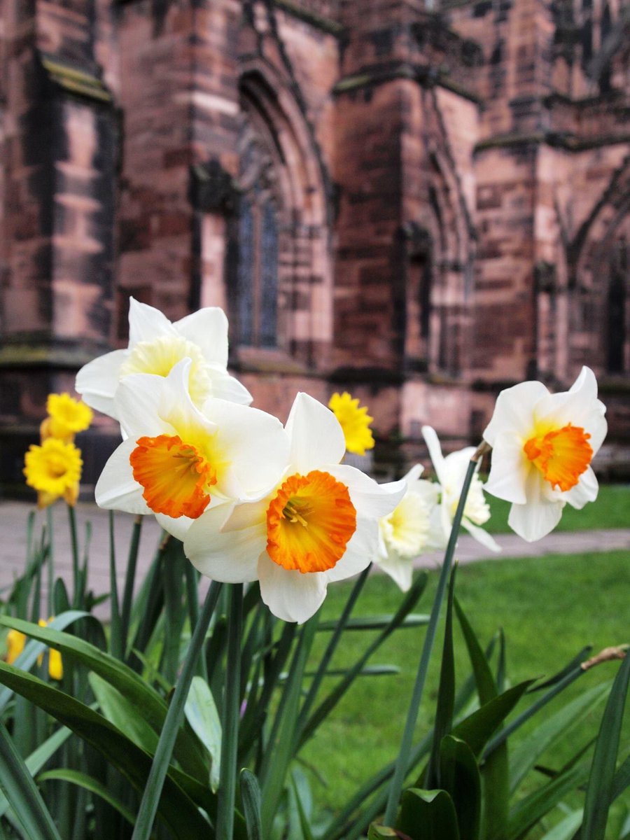One day we went to Chester. We toured the cathedral, walked the city walls and visited the Roman amphitheatre. Calvin tried his first ever Nando's and it was a huge hit.