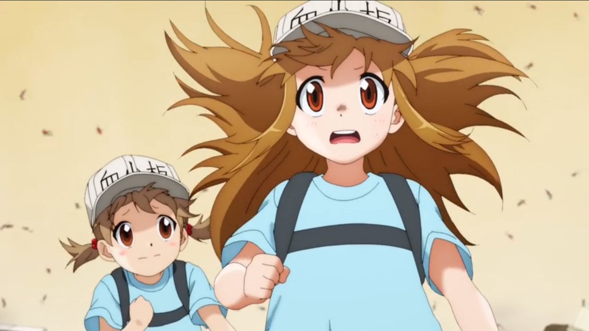 アマルナ はたらく細胞 1話 たんこぶ お勉強アニメ はたらく細胞 1話はたんこぶのお話 たんこぶは内出血だから外傷とは違う けどその止血方法は一緒なんですね 久々の血小板ちゃんも可愛かった