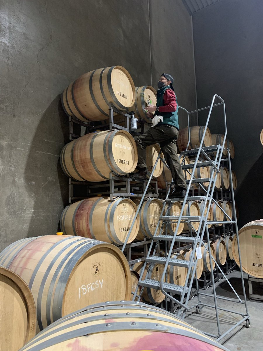 TheWallsWW's tweet image. Sleeping barrels are getting samples pulled and topped if needed by Zach. #wallawalla #wawine #TheWalls