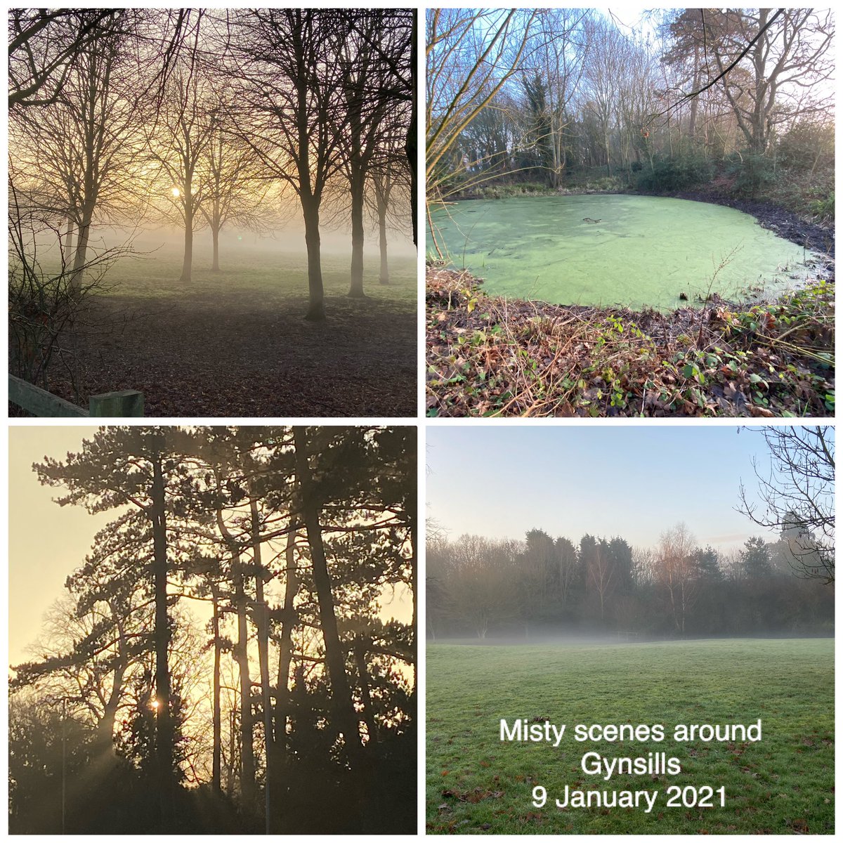 Gill Bracey tweet media